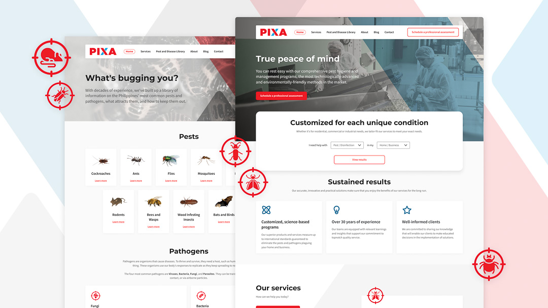 Mockup screens for PIXA company's website redesign